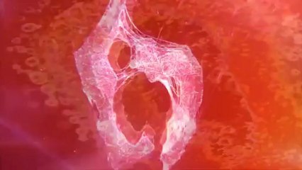 Resident Evil 6 - Bande-annonce #5 - Trailer Comic-Con 2012 (FR)