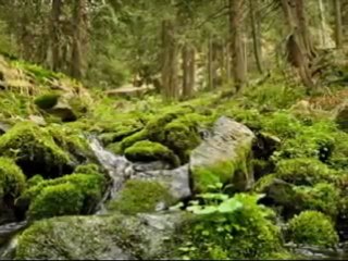 Franz Schubert.Schone Müllerin.Der Müller und der Bach.Jonas Kaufmann