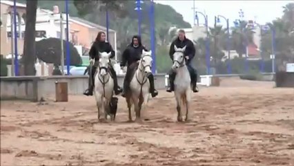 Les Ange Blanc à la plage sous la pluie et le froid.