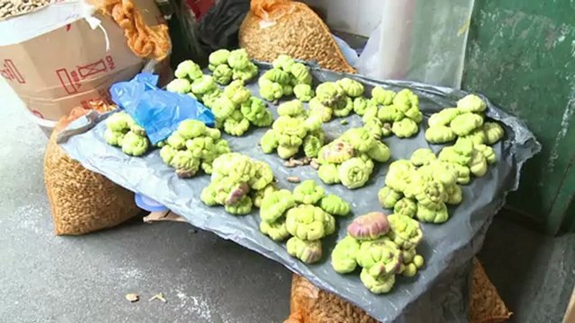 Les Maliens de Montreuil pour l'intervention française