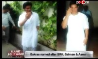 Goats named after Shahrukh, Slaman & Aamir.mp4