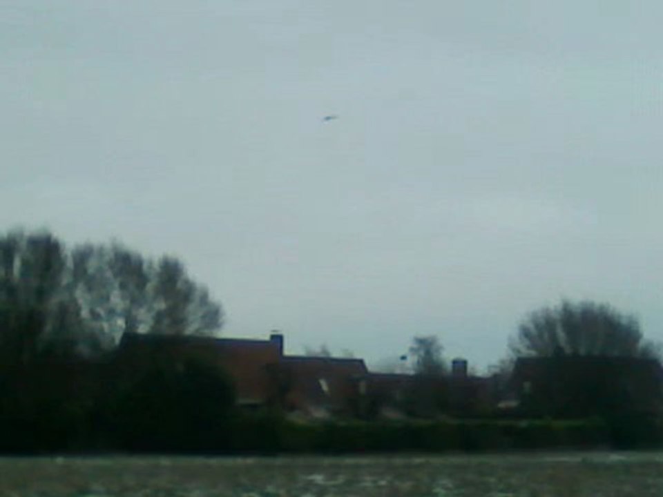 rapace volant 1