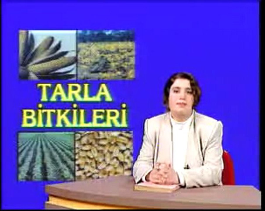 3SİT