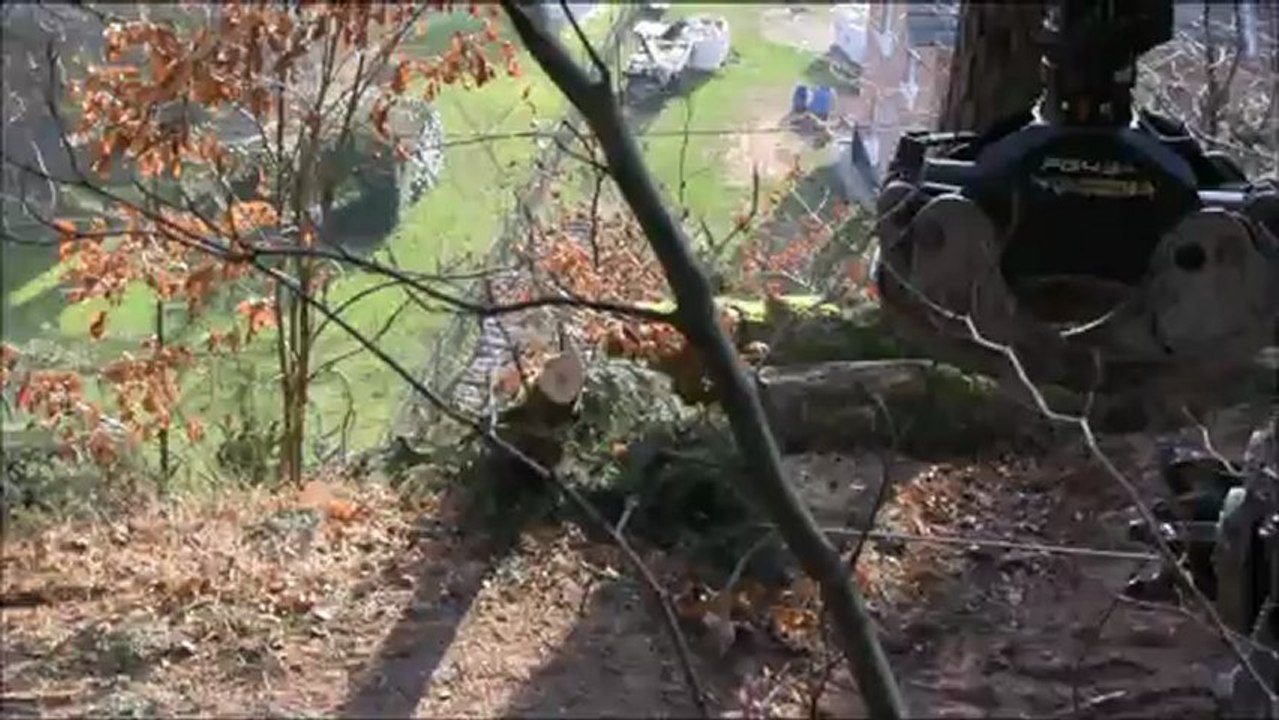 Travaux en forêt communale d'Abreschviller