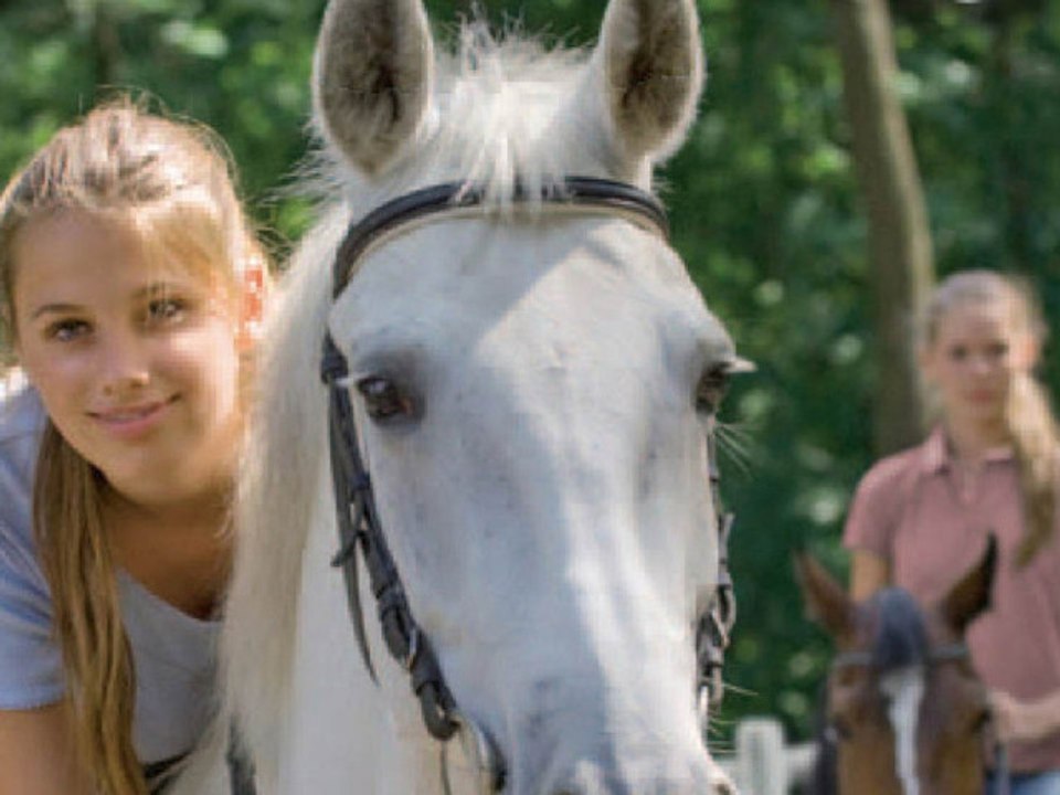 CGR Undertow - RIDING STABLES: RIVALS IN THE SADDLE 3D review for Nintendo 3DS