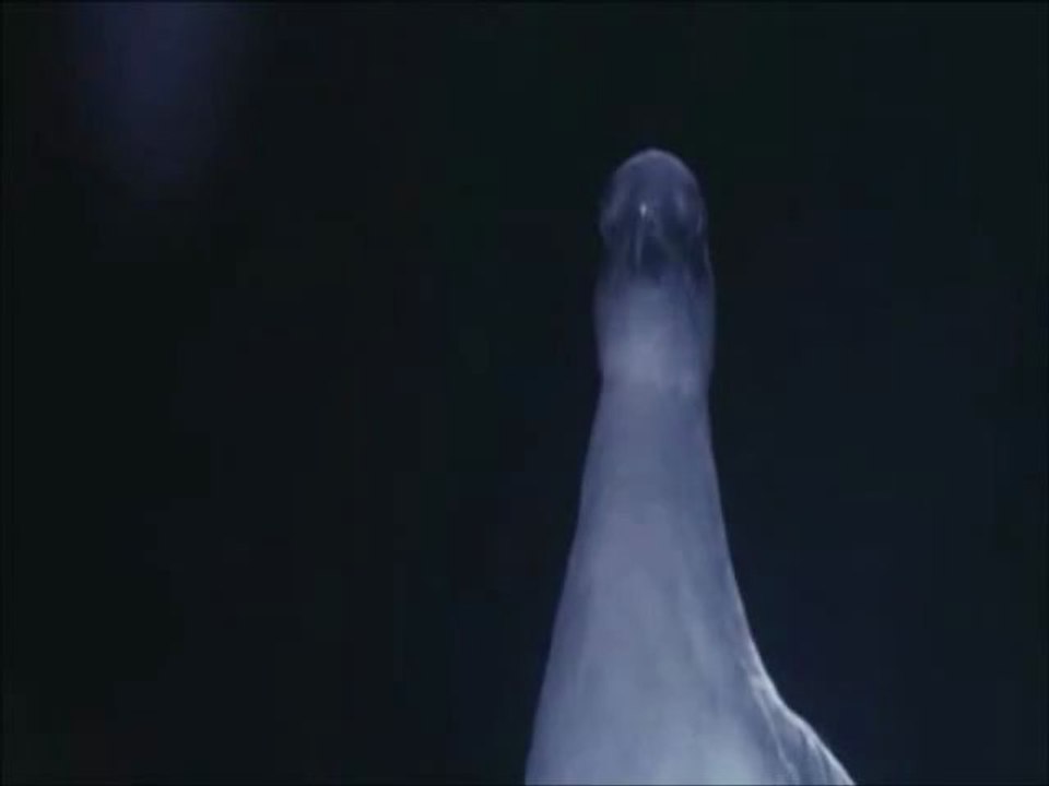 Il Volo Libero dell'Idea Perfetta