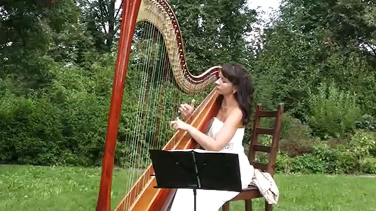 Выездная регистрация. Р.Паулс Melody из к/ф "Театр"