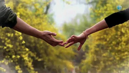 Psicoterapeutas - México - Grupo Interdisciplinario de Apoyo Terapéutico