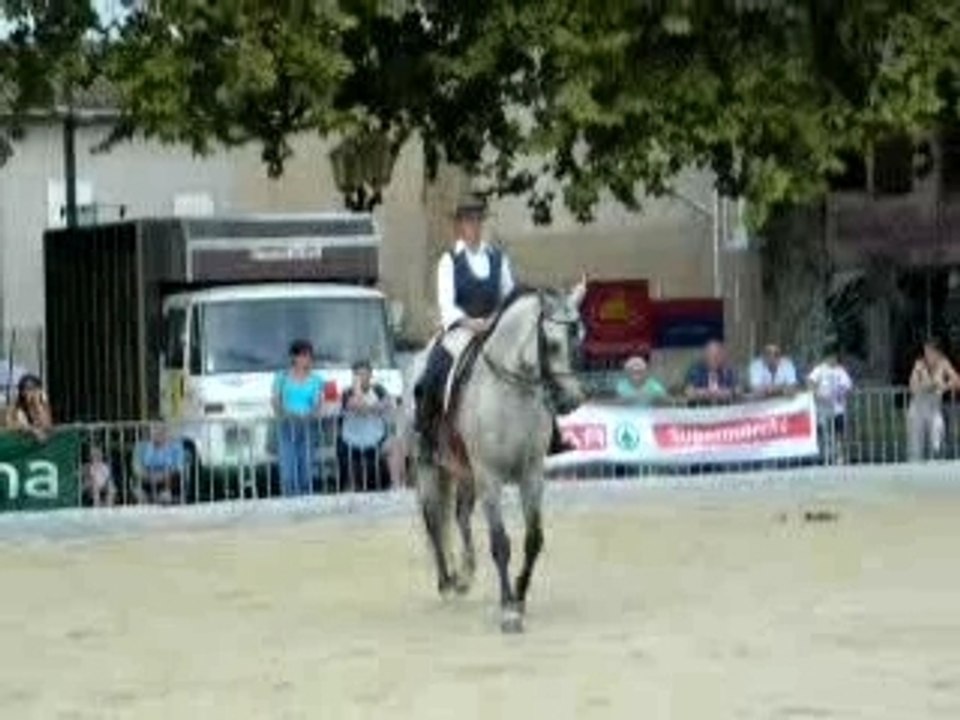 ICARO VIII ferme de Flagny