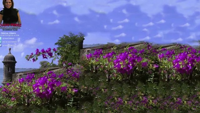 How to get a blog - Blog Creation- Vincent Ortega Jr will create your blog