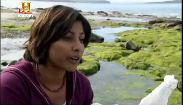 Dünya Nasıl Oluştu?: Loch Ness Gölü