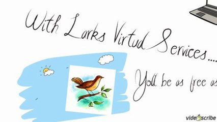 Larks Virtual Assistant Services