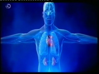 Control mental: Apnea (Stig Severinsen) 22 minutos sin respirar