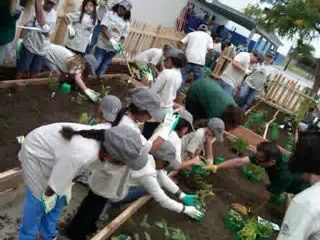 How To Grow Amway Team|How To Come to be Diamond In Amway In Record Time !!