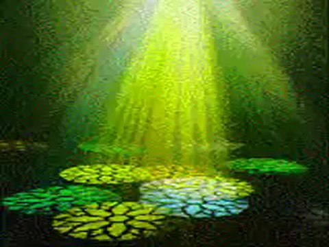 seslikalbim.com böyle caklara ben blok cakarım..! kral cakarım hemide, sebebimsensin.com HareketLi şarkı Roman havası potpori