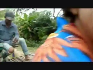 Bamboo train Cambodge