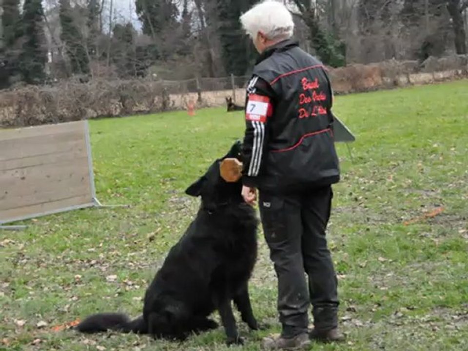 bawl des orckis de l'adret