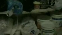 Hiwar tv 01 tunisie - 06