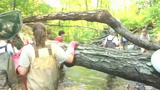 Toyota 2012 North American Environmental Report Feature: Strengthening Communities [Video]