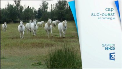 Cap Sud-Ouest "Camargue gardoise"