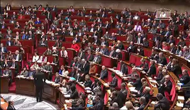 Les députés UMP scandent Référendum! Référendum! à l'Assemblée nationale