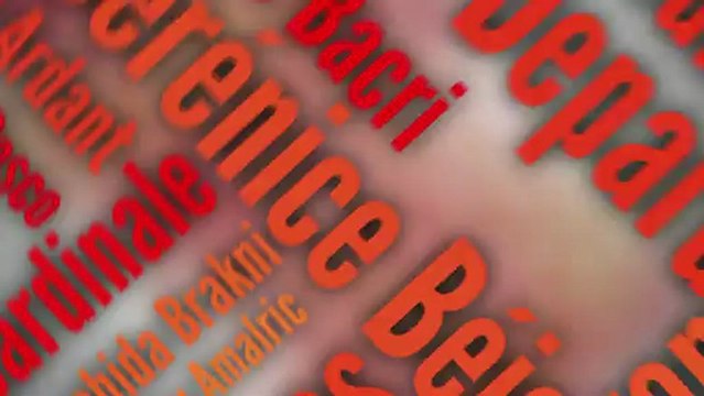 18e cérémonie des Prix Lumières - BA