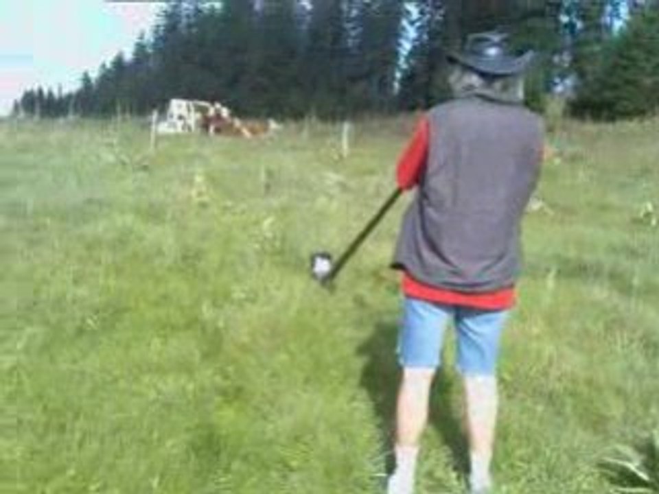 Cor des Alpes sur le Jura 2.