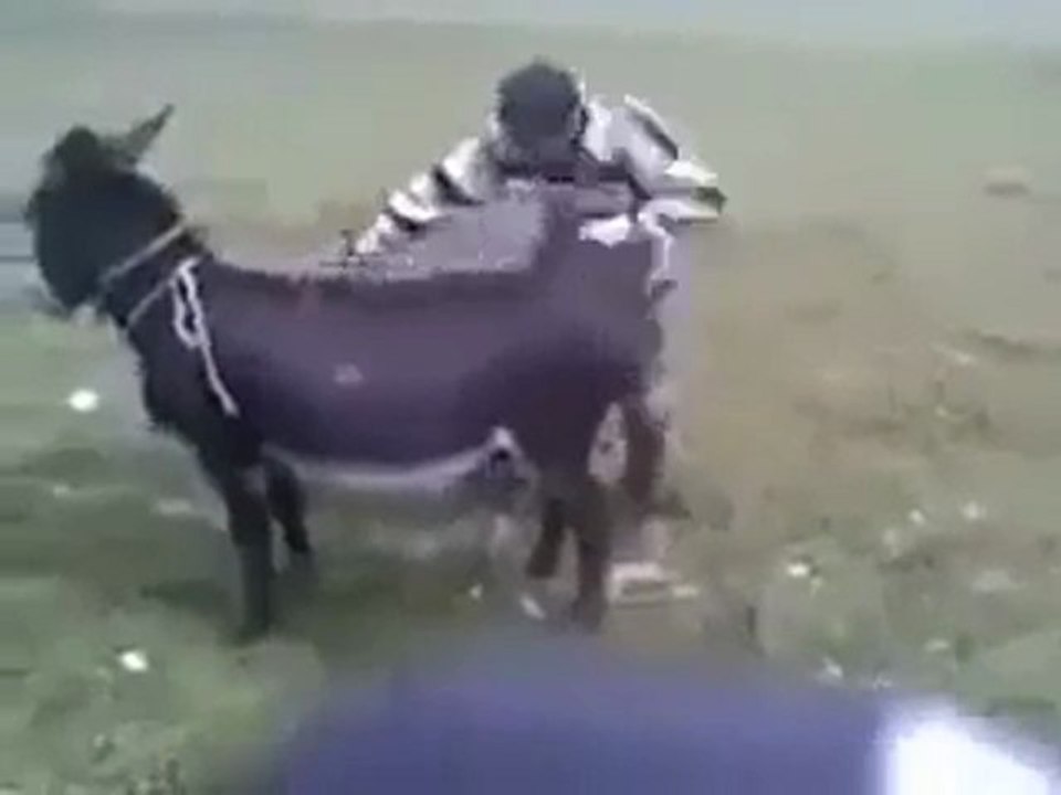 FUNNY (43)