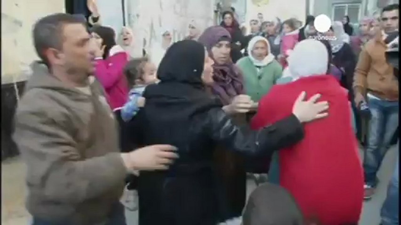 Palestinian teenager 'shot dead' by Israeli army