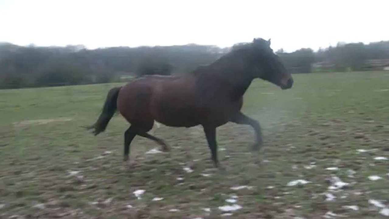 15.01.2013.c.malinka