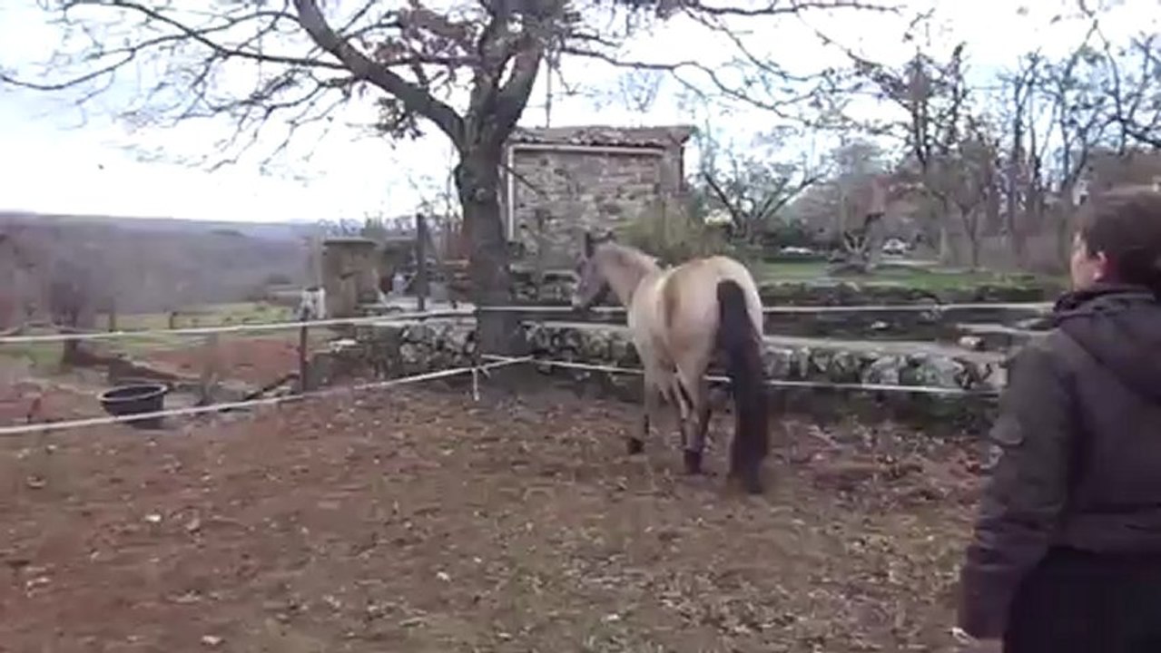 14 janvier 2013 séance saut en liberté Véo (9)