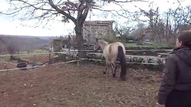 14 janvier 2013 séance saut en liberté Véo (9)