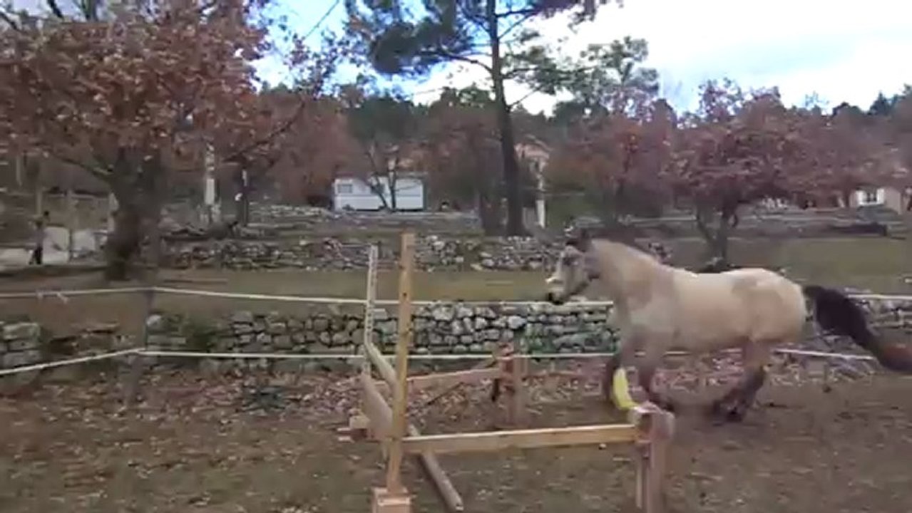 14 janvier 2013 dernier passage saut en liberté Véo (10)