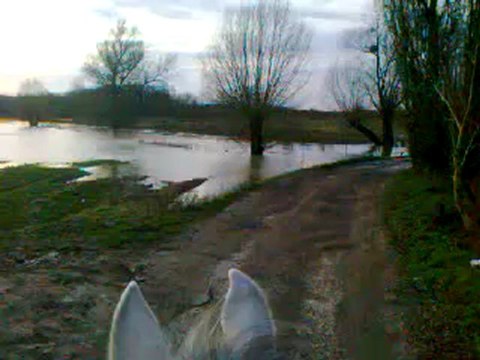 promenade les pieds dans l'eau ! (1)