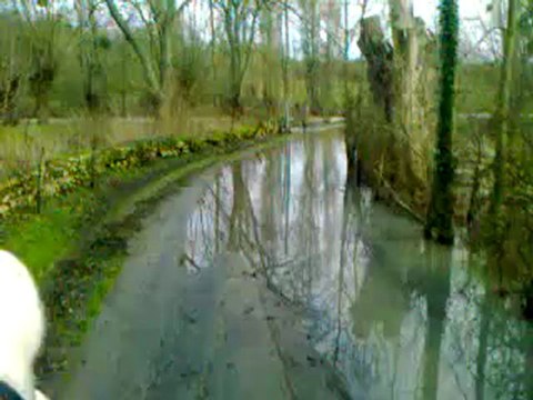 promenade les pieds dans l'eau ! (3)