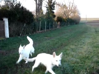 Harry se fout de moi