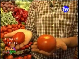 Coco de compras en el Mercado Central