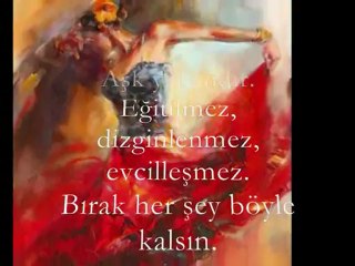 Nilgün Budak // Aşk Yabandır