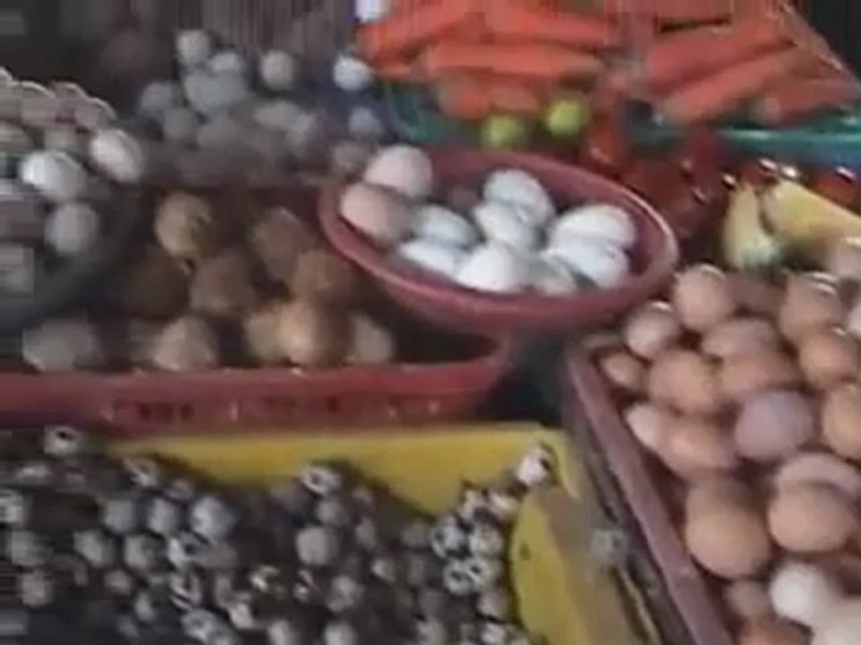 Du lịch biển Hội An - Hội An Green Travel