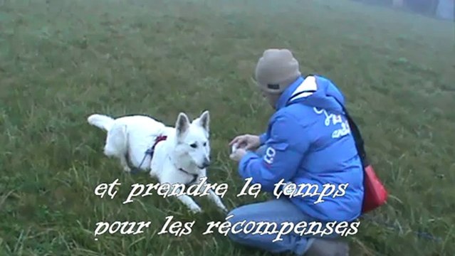 entrainement de recherche utilitaire avec un B.B.S