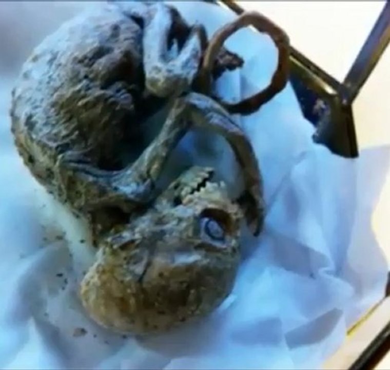 Family Vacation in Chile Finds Odd Unknown Organism. DNA:Unknown.(Resembles DR.Greer's alien photo)