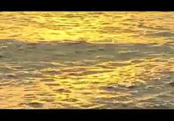 Cù Lao Chàm tiềm năng và triển vọng - Phần 1