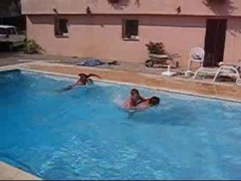 Screen Pass