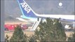 Dreamliner grounded by Japan's leading airlines