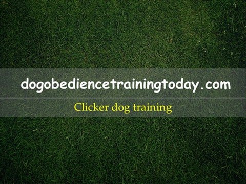 clicker dog training
