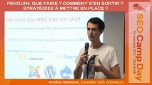 Penguin et EMD par Aurélien Delefosse au SEO Camp Day Toulouse 10/11/2012