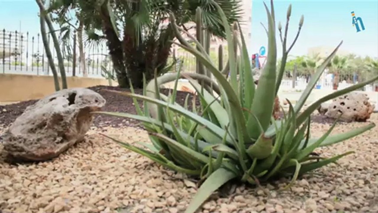 Alicante - Hotel Castilla Alicante (Quehoteles.com)