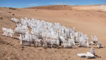 Natural Ice Spikes High Amidst the Andes