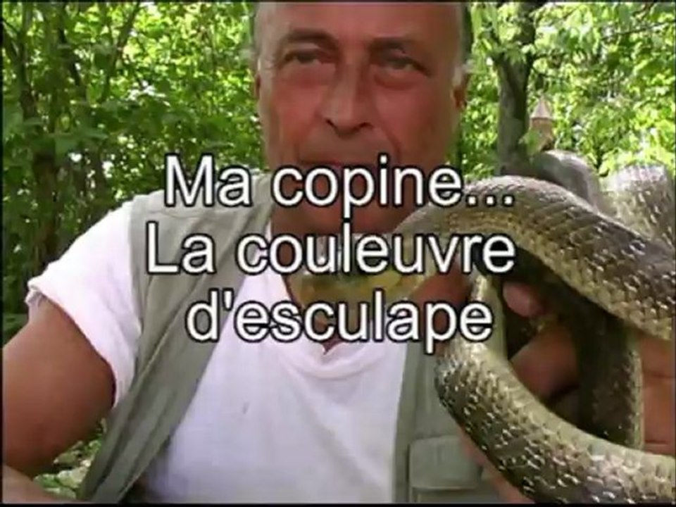 Ma copine, la couleuvre d'esculape