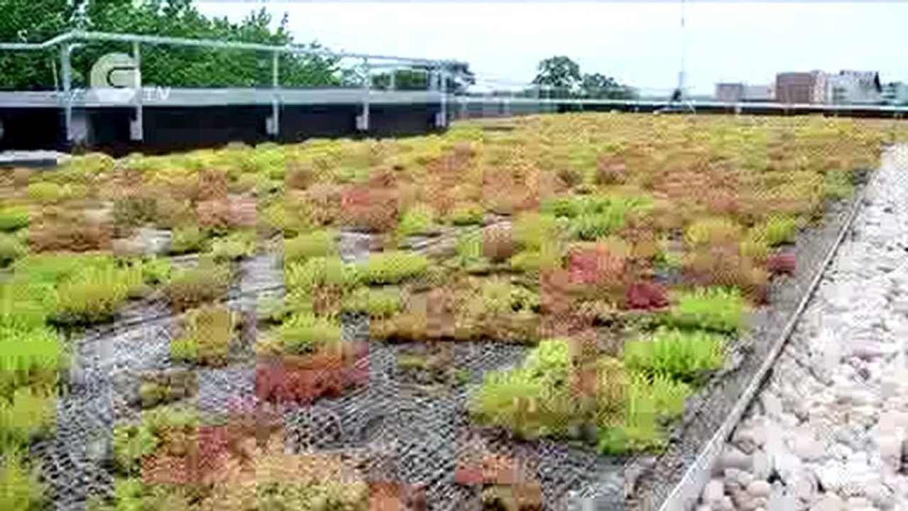 Green Roofs